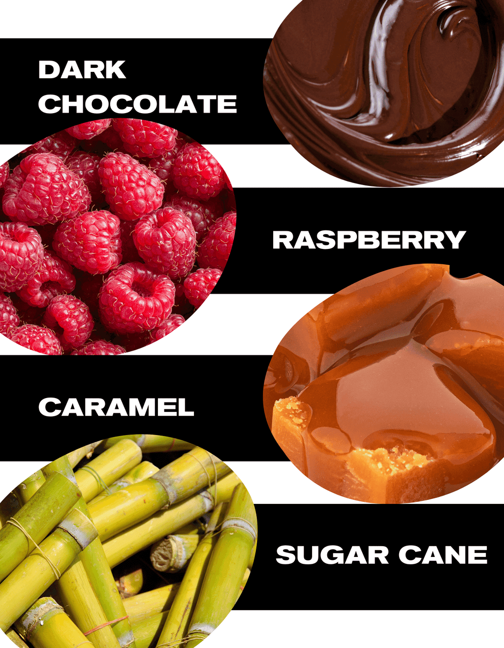 Dark Chocolate, Raspberry, Caramel, Sugar Cane Tasting Notes