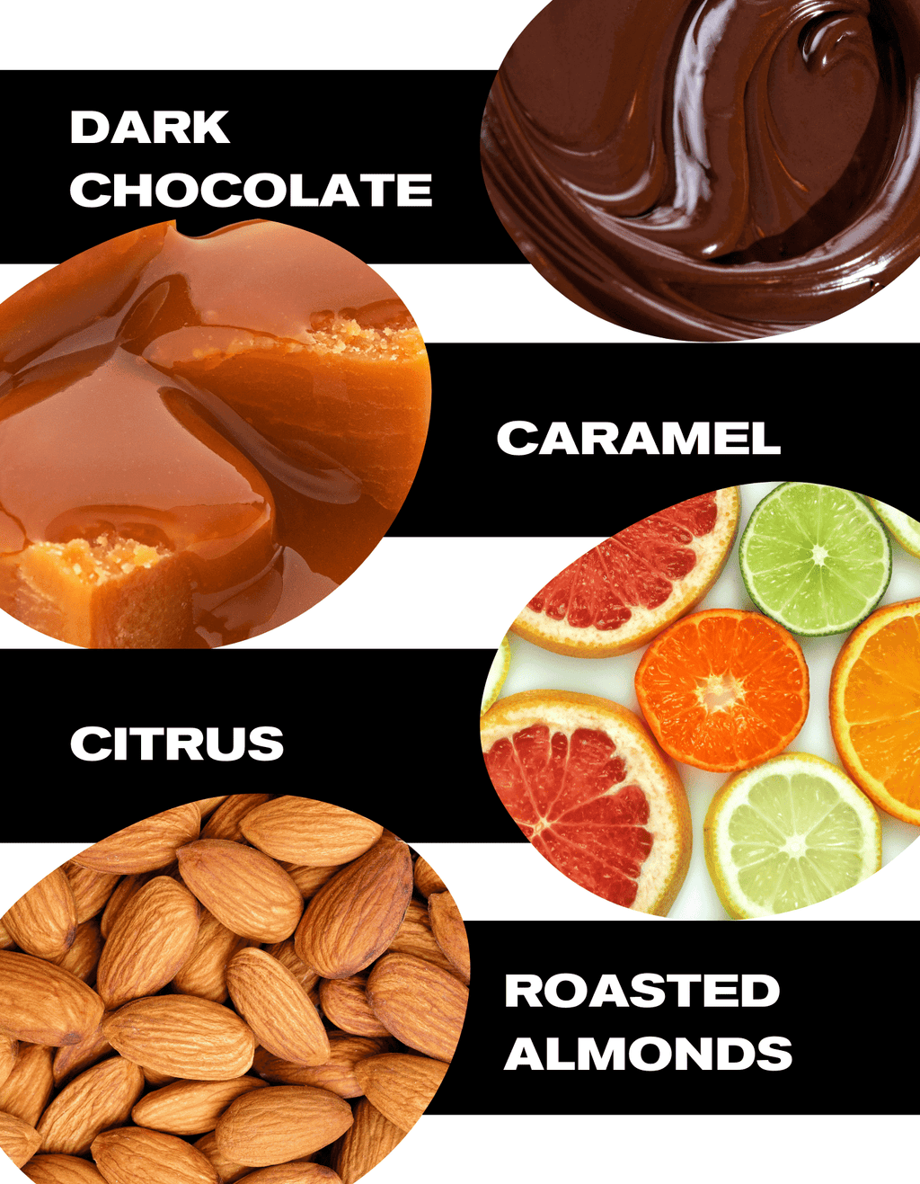 Tasting Notes: Well Balanced, Dark Chocolate, Caramel, Citrus, Roasted Almonds