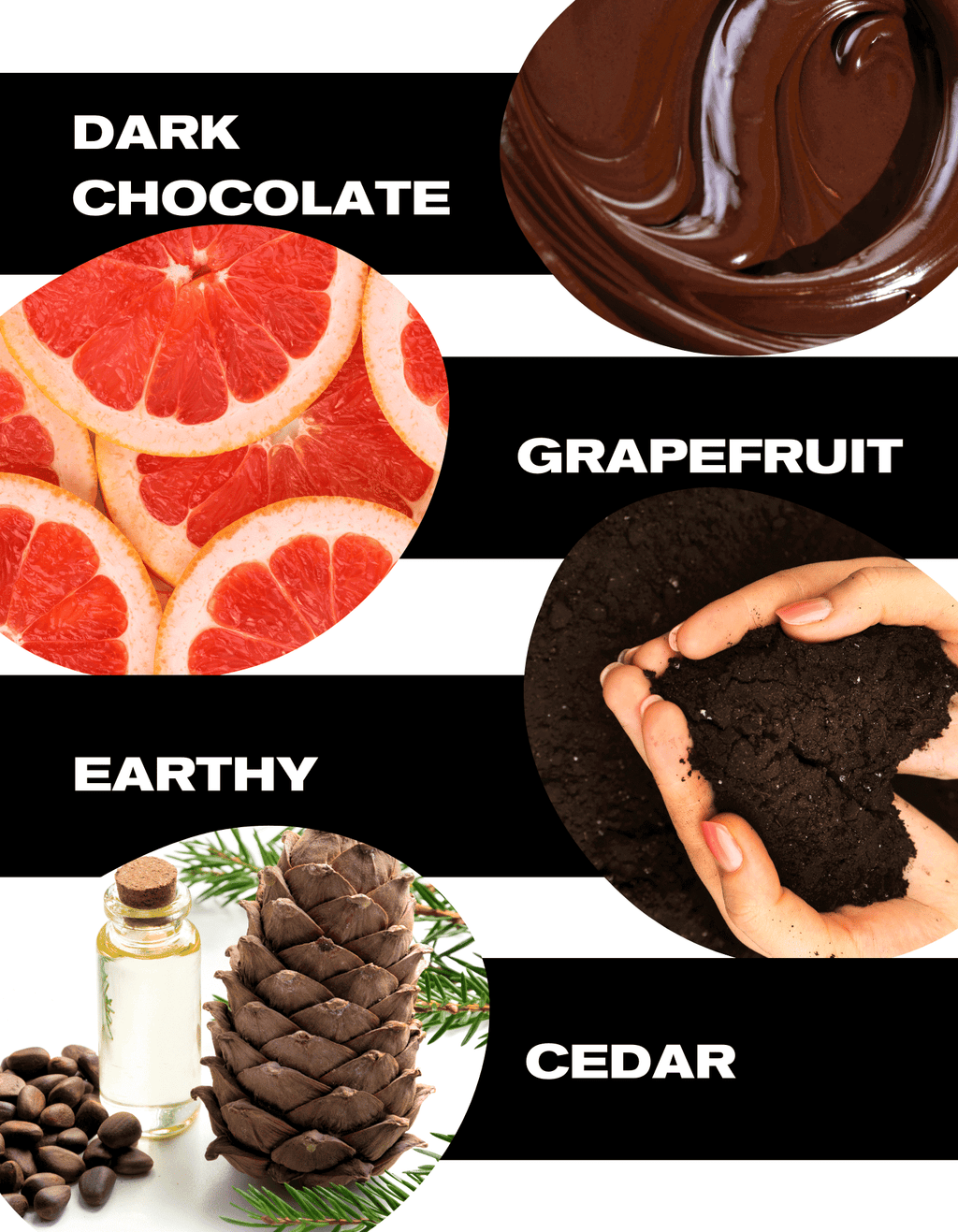 Tasting Notes: Dark Chocolate, Grapefruit, Earthy, Cedar