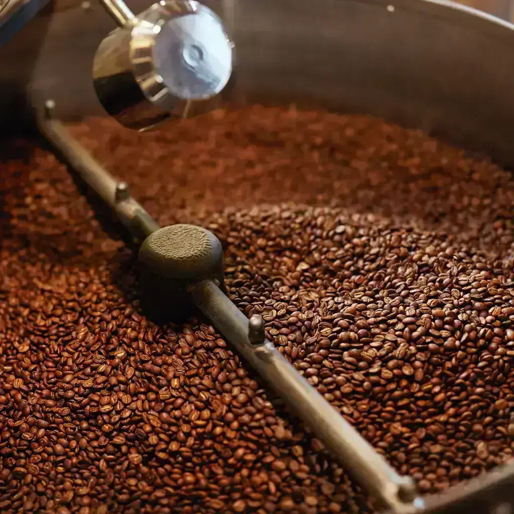 What makes specialty coffee special?
