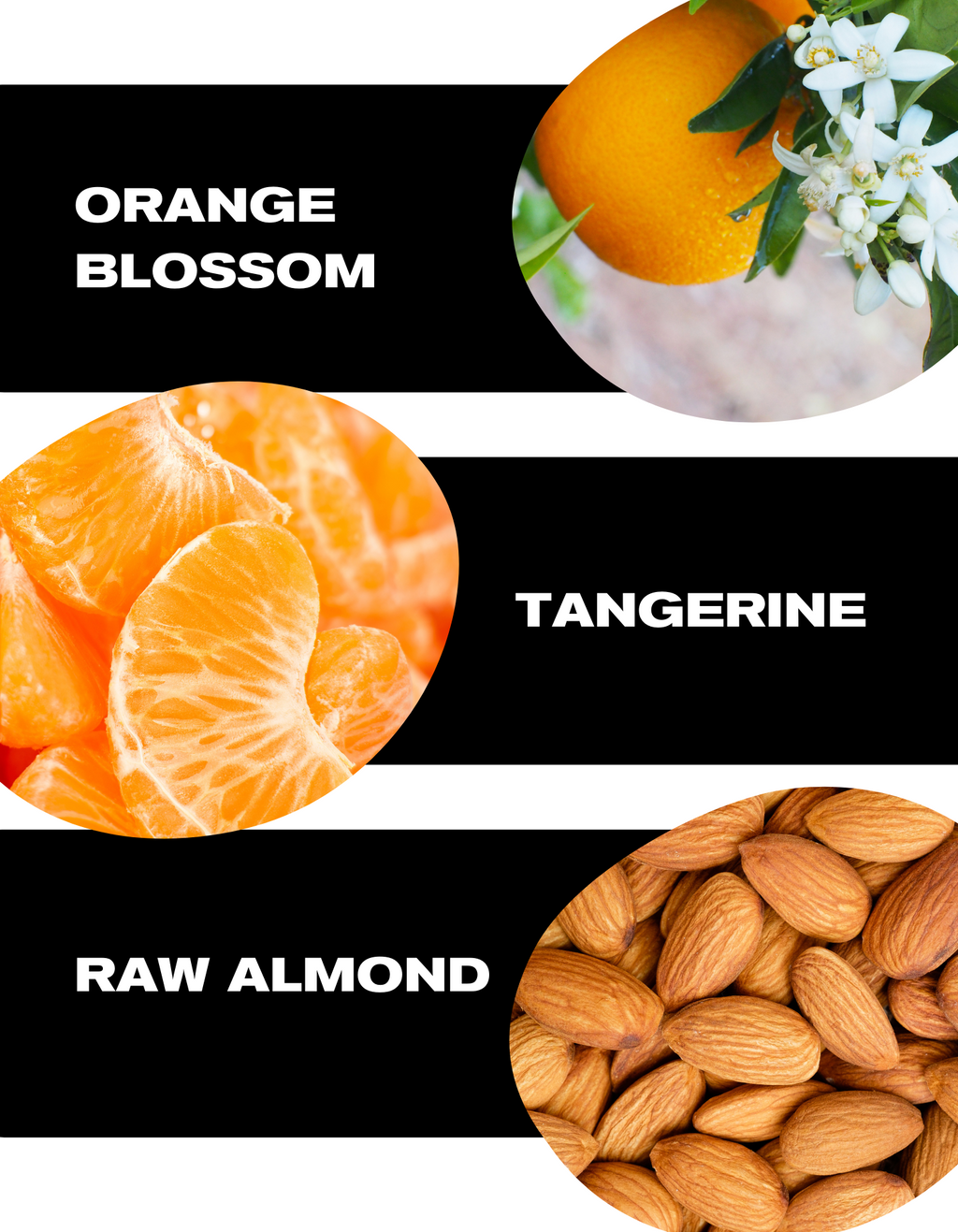 coffee -notes-Orange-blossom-tangerine-raw-almond